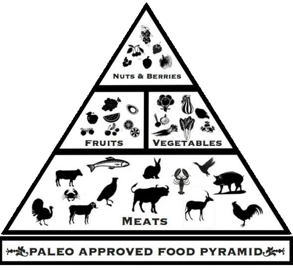 What is the Paleo Diet?