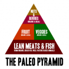 What is the Paleo Diet?