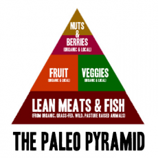 What is the Paleo Diet?